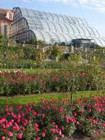 Palmenhaus auf der Insel Mainau (03.10.2015)