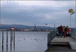 Blick nach Radolfzell -     Ornithologen bei der Ausbung ihres Hobbys in Moos.