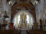 Engen, Innenraum der Pfarrkirche Maria Himmelfahrt, erbaut im 13.