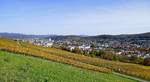 Lrrach, Blick vom Tllinger Berg ber die Weinfelder auf die Stadt, im Hintergrund die Auslufer des Sdschwarzwaldes, Okt.2020