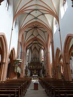 Tauberbischofsheim, Mittelschiff in der Stadtpfarrkirche St.