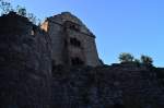 Blick auf das Herrenhaus der Burgruine Minneburg oberhalb von Neckargerach und Gutenbach am Neckar.