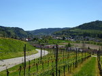 Diersburg, Blick auf den Ort in den Weinbergen der Ortenau, Mai 2016
