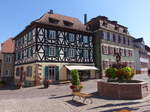 Ettenheim, Fachwerkhuser und Rathausbrunnen am Marktplatz (14.08.2016)