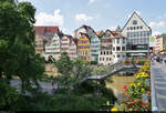 Hinter blhenden Pflanzen sumen etliche alte Bauten das Neckarufer an der Eberhardsbrcke in Tbingen.