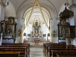 Schnfeld, barocke Ausstattung in der Pfarrkirche Hl.