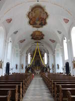 Furth im Wald, sptbarocker Innenraum der Maria Himmelfahrt Kirche, Chorgesthl von 1727, Fresken von Andreas Merz (03.06.2017)