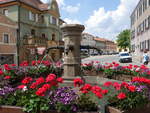 Furth im Wald, blumengeschmckter Marktbrunnen am Stadtplatz (03.06.2017)