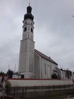 Elsendorf, Kirche Mari Unbefleckte Empfngnis, Saalkirche mit Satteldach und eingezogenem, fnfseitig geschlossenem Chor, erbaut ab 1718 (06.11.2016)