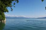 vom Lindauer Bodenseewanderweg aus der Blick in Richtung Bregenz