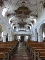 Wrth an der Donau, Orgelempore und Deckengemlde in der Pfarrkirche St.