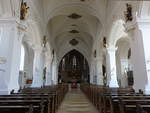 Tirschenreuth, Hochaltar in der Pfarrkirche Maria Himmelfahrt (22.04.2018)