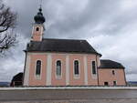 Waging am See, Wallfahrtskirche Maria Heimsuchung, barocker Saalbau mit Dachreiter, erbaut von 1709 bis 1713 (15.02.2016)