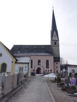 Siegsdorf, Pfarrkirche Mariae Empfngnis, erbaut von 1779 bis 1781 durch Plazidus Nizinger (26.02.2017)