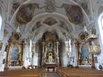Siegsdorf, barocke Altre und Fresken in der Pfarrkirche Mariae Empfngnis (26.02.2017)