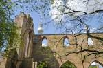 Ruine der Franziskaner-Klosterkirche mit dem Berliner Fernsehturm im Hintergrund.