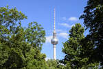 Der Berliner Fernsehturm von Monbijoupark aus gesehen.