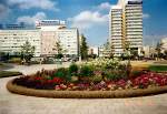 BERLIN, Sommer 1993: Alexanderplatz mit Blumen !