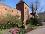 Cottbus, T�rme an der westlichen Stadtmauer (03.04.2026)