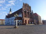 Frankfurt / Oder, Brandenburgisches Landesmuseum f�r moderne Kunst in der Rathaushalle (05.04.2026)
