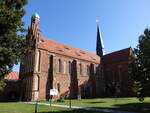M�hlberg/Elbe, Klosterkirche Marienstern, Backsteinbau aus dem 13.