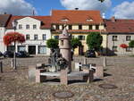 Uebigau, Koblik Brunnen und Rathaus am Marktplatz (07.09.2025)