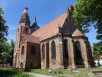 Gransee, gotische evangelische St.