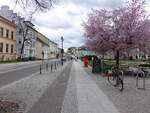 F�rstenwalde / Spree, H�user in der Rathausstra�e (05.04.2026)