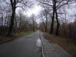 Grunewalder Strae, Teil des Oder-Neisse-Radweg, Stadtauswrts Zustand: 02.03.2008