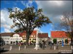 Die schsische Postmeilensule auf dem historischen Markt im herbstlichen Uebigau, 19.10.07.