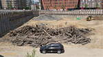 Hamburg am 15.5.2018: Holz-Fundamentpfhle der alten Speicherstadt in einer Baugrube in der Hafencity /