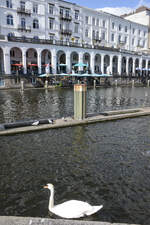 Die Alsterarkaden und der Kleine Alster in Hamburg-Mitte.