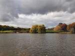 Der Hamburger Stadtpark am 28.10.22.