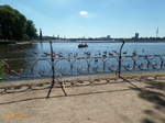 Hamburg am 20.7.2016: Idylle an der Auenalster, mein Lieblingsplatz an der Einmndung des Eilbekkanals /