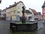 Laubach, gusseiserner Brunnen am Marktplatz (31.10.2021)
