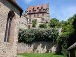 Schweinsberg, Höhenburg auf einem kleinen Basaltkegel, erbaut ab 1231 (15.05.2022)