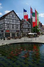 Melsungen, Brunnen am Sparkassenplatz (05.07.2009)