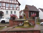 Mnzenberg, Marktbrunnen am Marktplatz (01.11.2021)