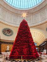Weihnachtssternbaum im Foyer des Wiesbadener Kurhauses im Dezember 2025.