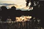 Abendstimmung am Feldberger Haussee.