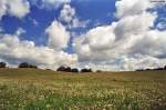 Endlose Felder und tiefe weie Wolken am blauen Sommerhimmel sind ein Sinnbild fr die uckermrkische Landschaft.