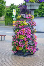 Blumenschmuck auf dem Bahnhofsvorplatz vor dem Bahnhof Khlungsborn Ost.