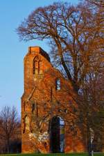 Teil der Klosterruine in Greifswald-Eldena - 26.01.2012