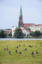 Blick auf den Schweriner Dom von der Schwimmenden Wiese.