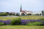 Blick auf Schwerin mit dem Dom von der Schwimmenden Wiese.