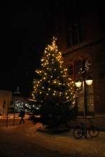 Weihnachtsbaum in Hannover, am 17.12.2010.