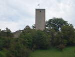 Greene, Burg erbaut 1308 von den Edlen von Homburg.
