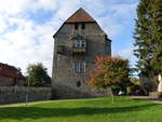 Wasserburg Sachsenhagen, erbaut von 1248 bis 1253 durch Herzog Albrecht I.