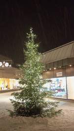 Weihnachtsbaum in Neuen Zentrum in Lehrte am 08.12.10.