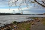 Rheinhochwasser in Oberkassel mit Blick auf den Posttower (vorne)  und das UN-Hochhaus in Bonn - 13.01.2015